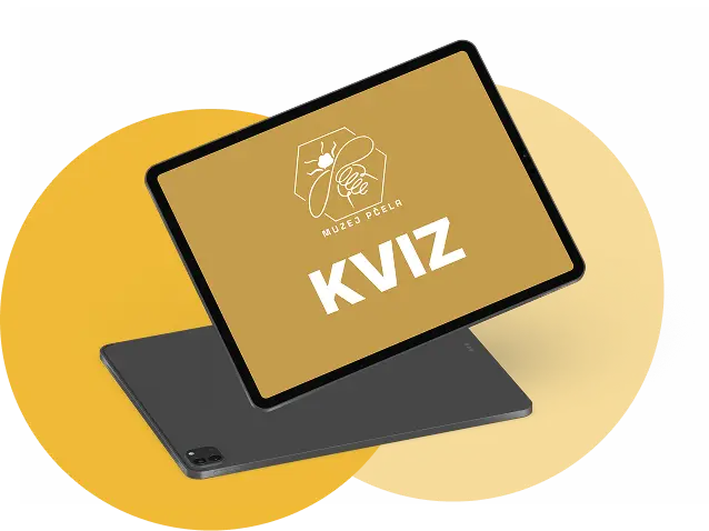 kVIZ MUZEJ pcela